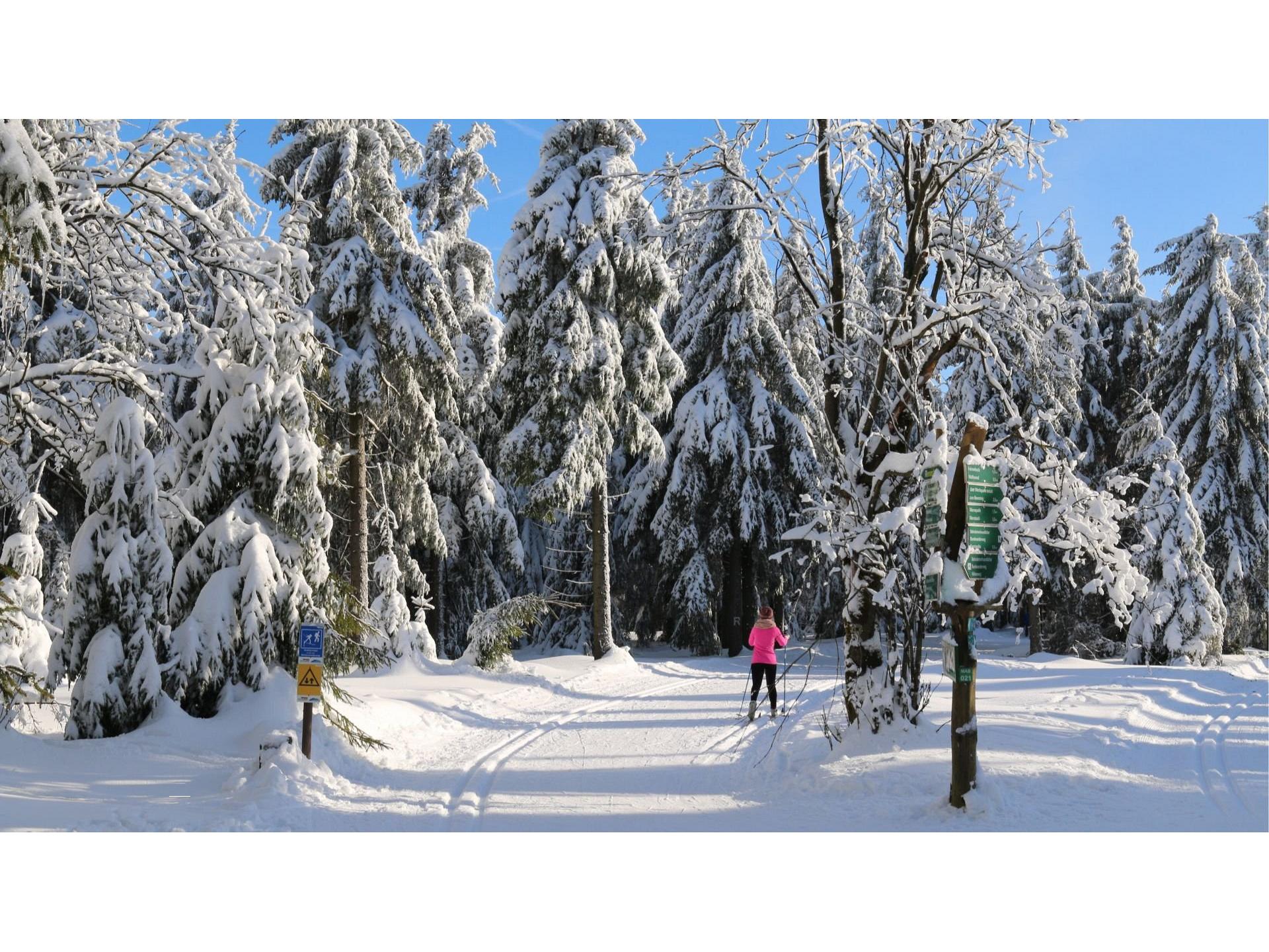 Skifahren im Winter