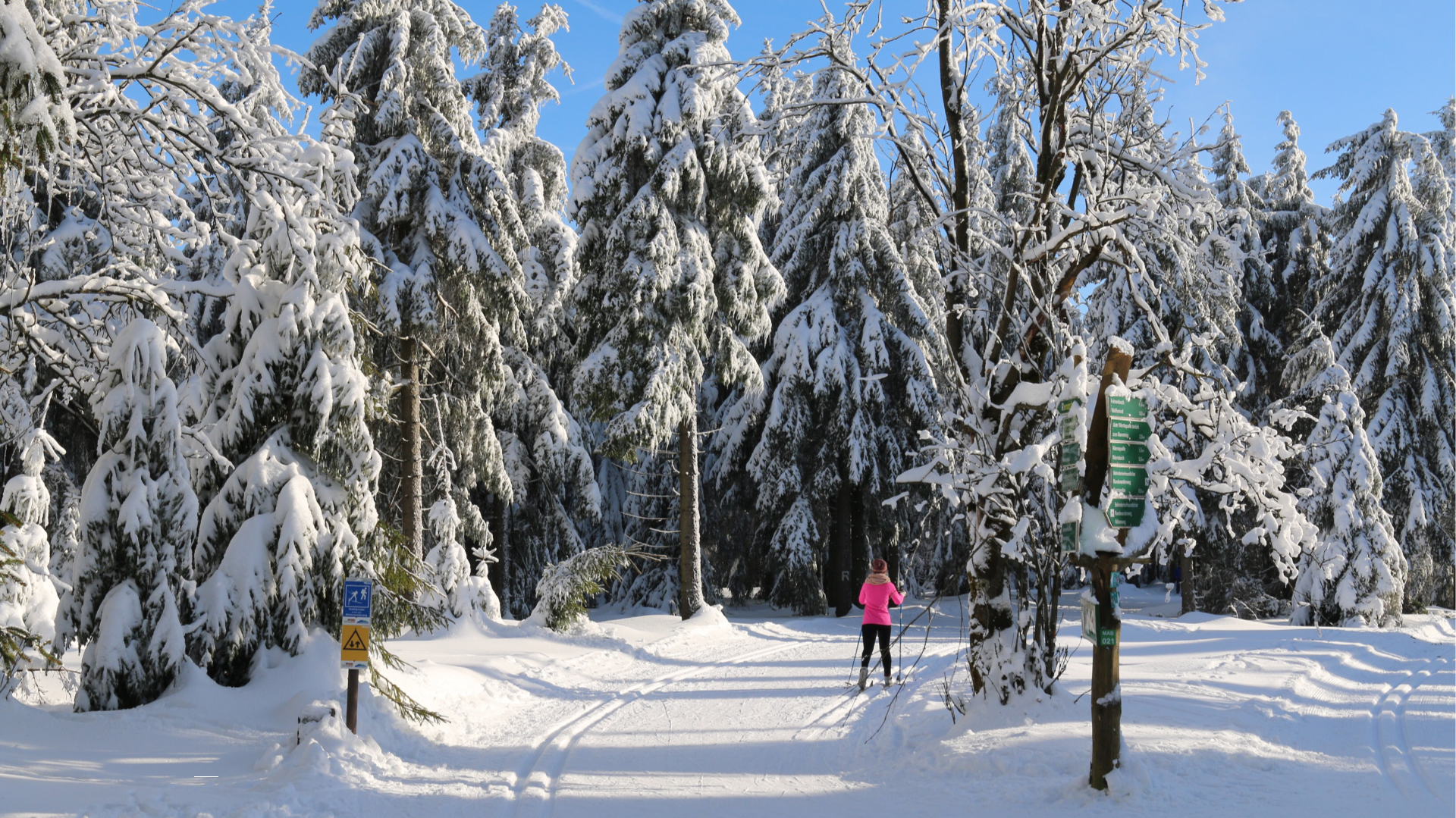 bewusst natur GmbH - Header